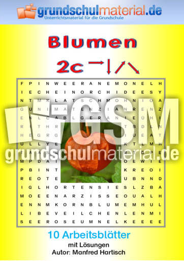 Blumen_2c.pdf